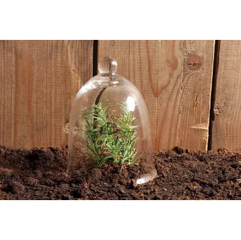 Zahradní dekorace Skleněný poklop ZAHRADNÍ ESSCHERT´S GARDEN, sklo, čirá, 12x12x15 cm, DÁRKOVÉ BALENÍ obsahuje 2 kusy! (DOPRODEJ)|Esschert Design