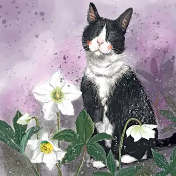 Menší přání s kočkou s bílými květy - design Alex Clark