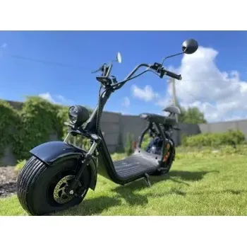Elektrokoloběžka Elektrokoloběžka Lera Scooters C1+ 1500W Černá Leramotors C1+black