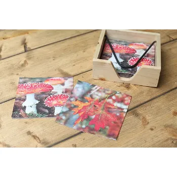 Papírový ubrousek Ubrousky s muchomůrkou/listím|Esschert Design