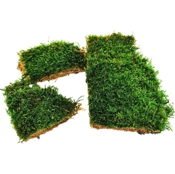 Plochý mech vysoký - přírodní zelená 100g