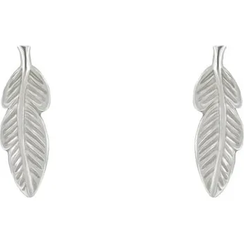 Náušnice Stříbrné náušnice Feather