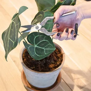 Nůžky na větve Nůžky zahradnické INDOOR|Esschert Design