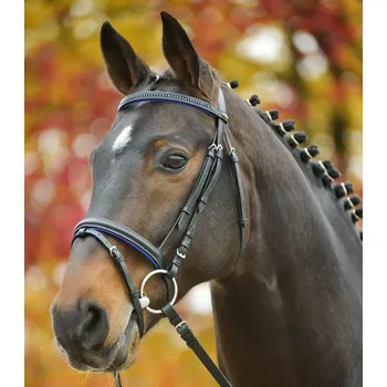 Věšák na sedlo a uzdečku WALDHAUSEN Uzdečka Star Diamond Waldhausen, blue MINI SHETTY