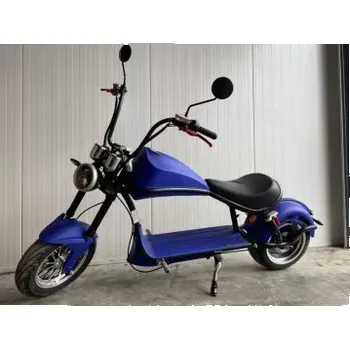 Elektrokoloběžka Lera Scooters C8 2000W modrá Leramotors