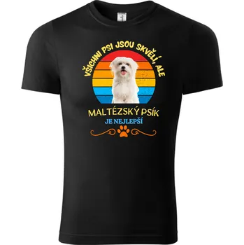Chlapecké tričko Fenomeno Dětské tričko Maltézský psík Velikost: 146 cm/10 let