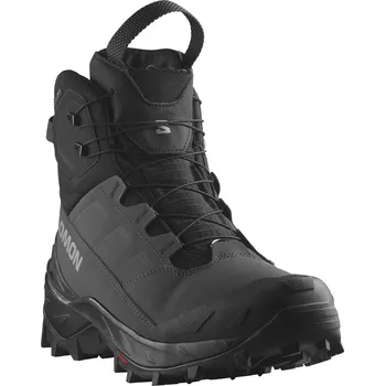 Pánská zimní obuv Pánské zimní boty Salomon Crosstrak Powder Waterproof Velikost bot (EU): 46 2/3 / Barva: šedá