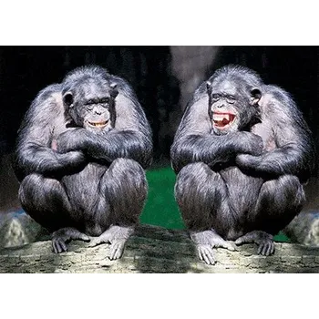 Výtvárné potřeby Pohlednice 3D Šimpanzi