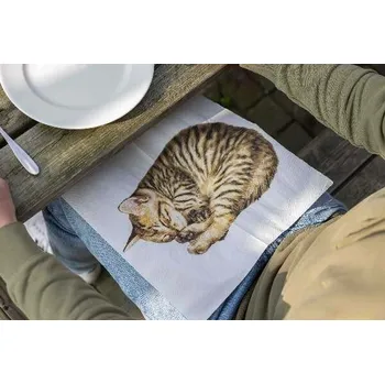 Papírový ubrousek Ubrousky Kočka|Esschert Design