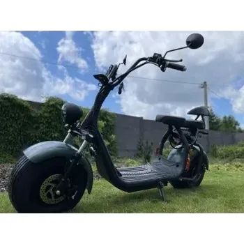 Elektrokoloběžka Elektrokoloběžka Lera Scooters C1+ 1500W Zelená Leramotors C1+green