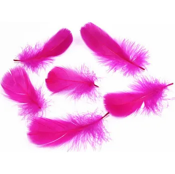 Svatební dekorace Dekorační pírka (tmavě růžová) 100ks