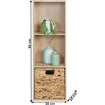 Tempo Kondela Svion dub přírodní