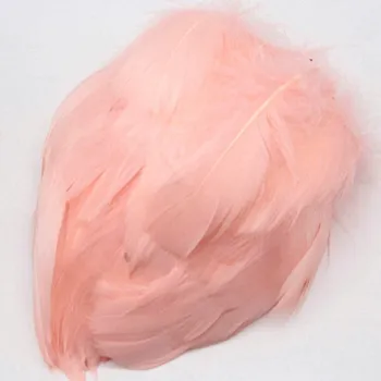 Svatební dekorace Dekorační pírka (meruňkové) 100ks