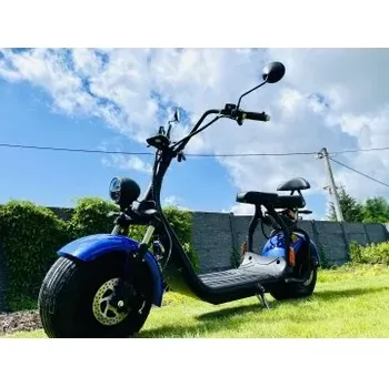 Elektrokoloběžka Elektrokoloběžka Lera Scooters C1+ 1500W Modrá Leramotors C1+blue