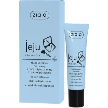 Korektor Ziaja Jeju Young Skin Tekutý korektor Natural 30 ml