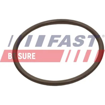 Těsnění motoru Těsnicí kroužek, hadice plnicího vzduchu FAST FT49933