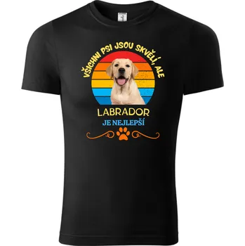 Chlapecké tričko Fenomeno Dětské tričko Labrador Velikost: 158cm/12 let