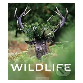 Umění Wildlife - AB ART press AB ART press