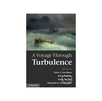 Cizí jazyk A Voyage Through Turbulence - Peter A. Davidson Cambridge University Press