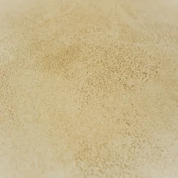 barva na zeď Stěrkoland Betonová stěrka 20 kg - TRAVERTIN