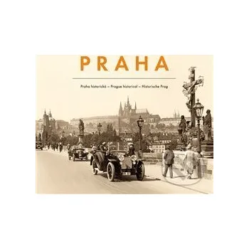 Umění Praha historická - Pavel Scheufler, Luboš Stiburek Pražský svět