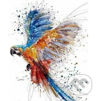 Doplněk ke knize Papoušek 40 x 50 cm (s rámem) - Figured Art Figured Art