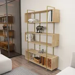 Knihovna Bruti - Oak, Gold