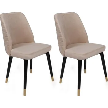 Jídelní židle Sada židlí (2 kusy) Hugo-367 V2