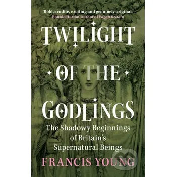 Populárně naučná literatura pro dospělé Twilight of the Godlings - Francis Young Cambridge University Press