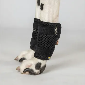 Back on Track Bandáž Milo pro psy na přední nohy 2ks velikost: XS