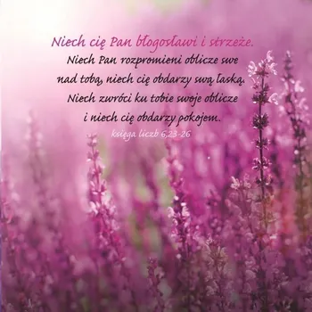 Obraz Dárková taška KR 8649 M