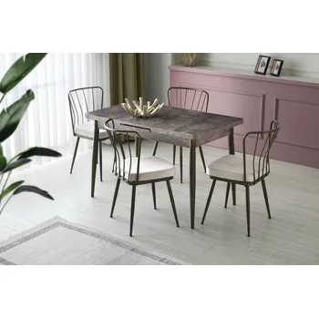 Jídelní židle Sada židlí (2 kusy) Yıldız - 985 V2