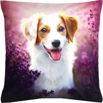 Povlak na dekorativní polštářek Povlak na polštář 40x40 Pes Levandule