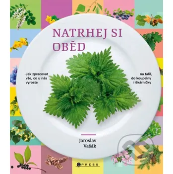 Kniha Natrhej si oběd - Jaroslav Vašák CPRESS