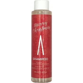 Šampon ARTISTIC Energy šampon Veselé Vánoce 100 ml