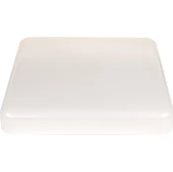 Stropní Svítidlo Ledvance bílý