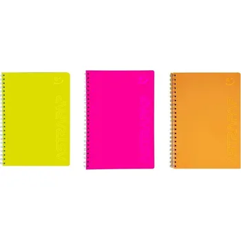 Sešit Linkovaný sešit A4, 100 listů, astra papiernicze