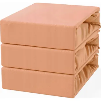 Prostěradlo Prostěradlo s Gumou 90x200 Froté Lososové