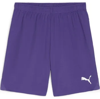 Pánské oblečení Šortky Puma teamGOAL Shorts 705752-10 Velikost M