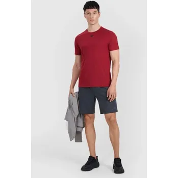 Pánské kraťasy Pánské rychleschnoucí tréninkové šortky 4F 4FWMM00TFSHM1310-22M XL