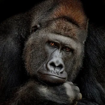 Plakát Antje Wenner-Braun One Moment In Contact fotopapír 40 x 40 cm