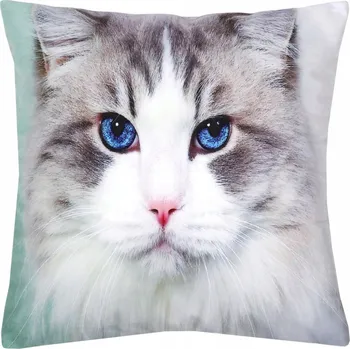 Povlak na dekorativní polštářek Dekorační povlak na polštář 40x40 Velurový Kočka