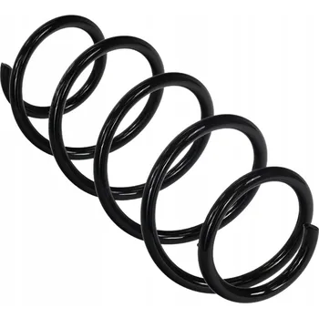 Fast FT01891 Pružina zavěšení