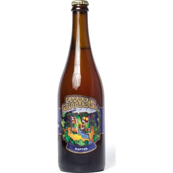 auto na autodráhu Matuška Raptor