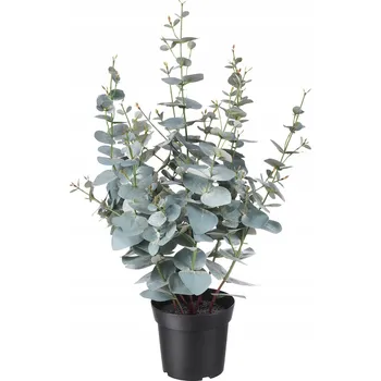umělá květina IKEA umělá rostlina FEJKA eukalyptus v květináči, 65 cm