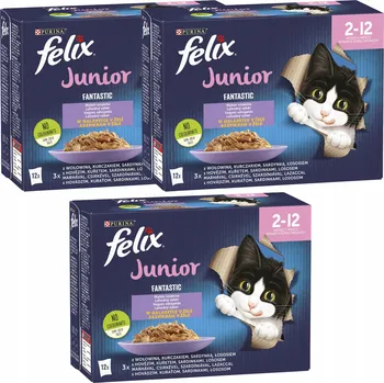 Krmivo pro kočku Purina Felix Junior mokré krmivo pro koťata mix chutí 36x85g