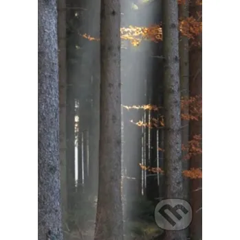 Kniha Přijít za svítání - Václav Cílek Dokořán