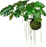 Umělá kokedama filodendron na mechové…