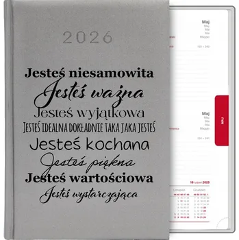 Kalendář Knižní kalendář 2026 A5 FunnyCase stříbrný