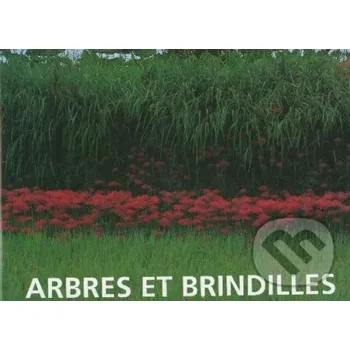 Populárně naučná literatura pro dospělé Arbres et Brindilles - Shinzo Maeda Taschen
